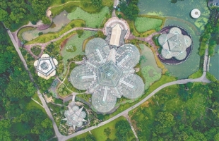 广州 | 华南植物园将建设4个世界一流专类园