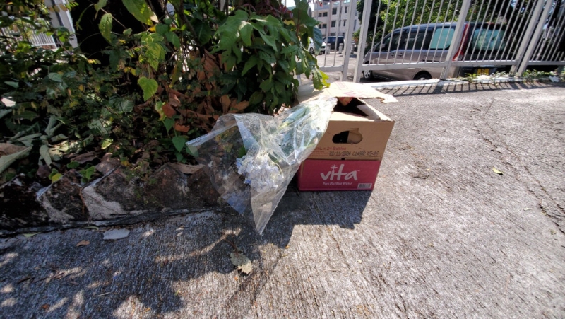 距进凶案单位约50米外，有人在树下摆放一个纸箱，箱内放有一束鲜花，悼念女死者蔡天凤的不幸离世。 （杨伟亨摄）
