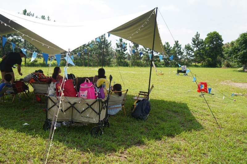 游客露营 游客露营