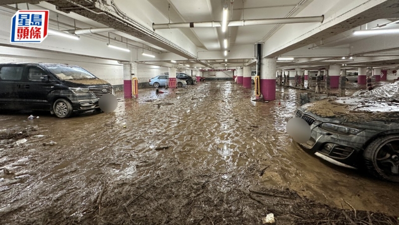 环翠停车场水退满地泥泞，车辆变“泥鸭”