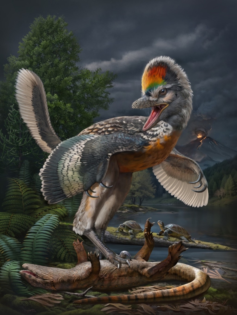 约1.5亿年前鸟翼类恐龙「奇异福建龙」及「政和动物群」生态复原图。