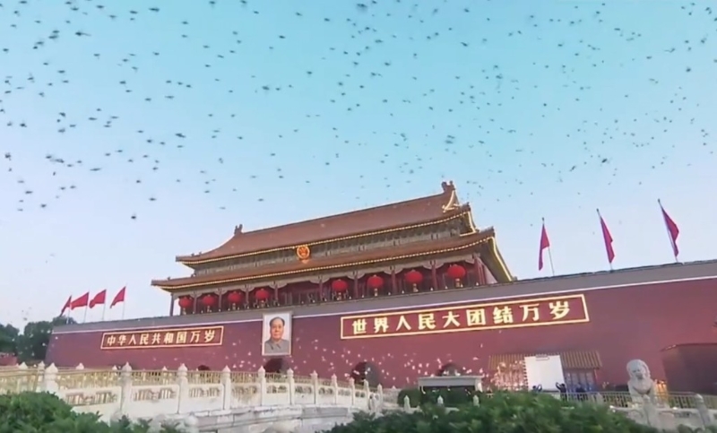 现场放出大批白鸽，飞越广场上空。