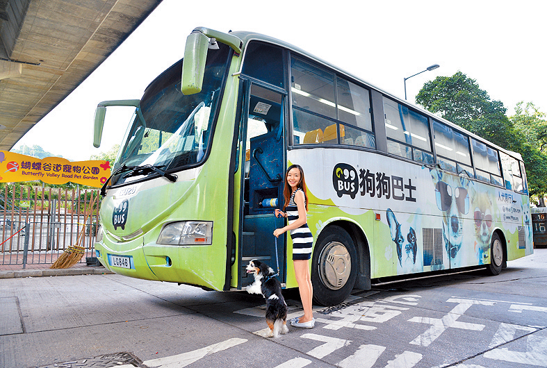 宠物巴士“99Bus”曾因为收费问题，被运输署勒 令停驶。