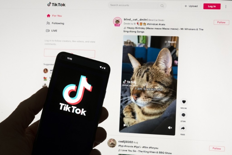 尼泊尔将禁止使用TikTok，称影响社会和谐。 美联社