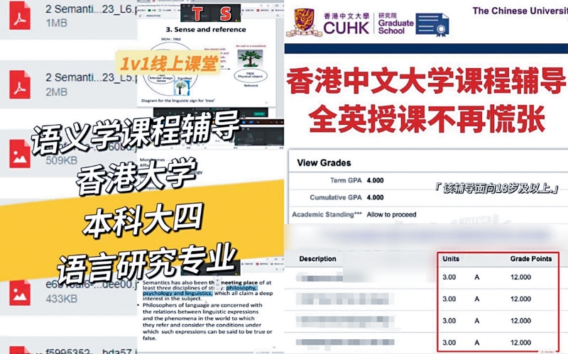 内地社交平台捲起“大学补习风潮”，有教育机构为成功升读本地大学的内地留学生“补习”。