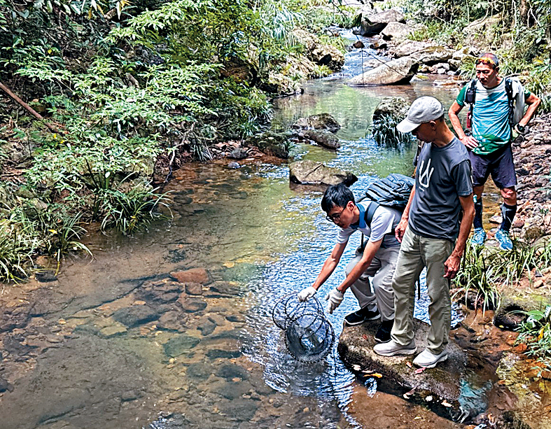 黄锦星与民间组织“清径先锋”视察河溪，发现多个捕龟笼。