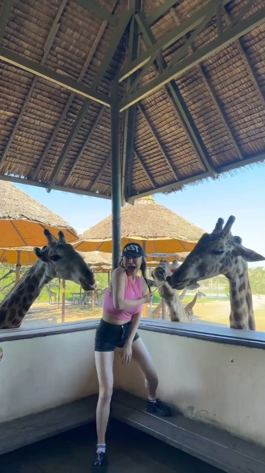 王冰冰到动物园喂长颈鹿，惨被夹攻。