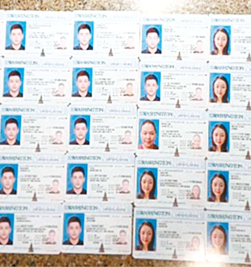 警方在嫌犯车中查获40张假驾照。普莱诺市警图片