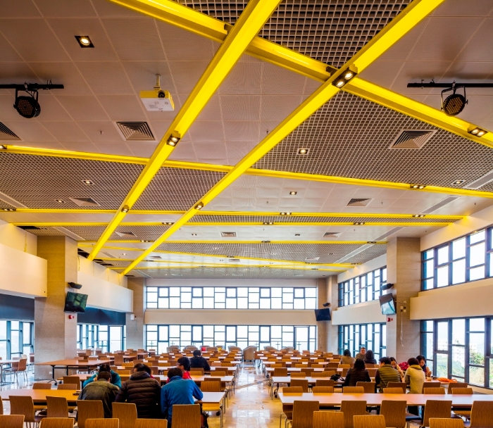 审计报告又指33间餐厅无领有食物业牌照。