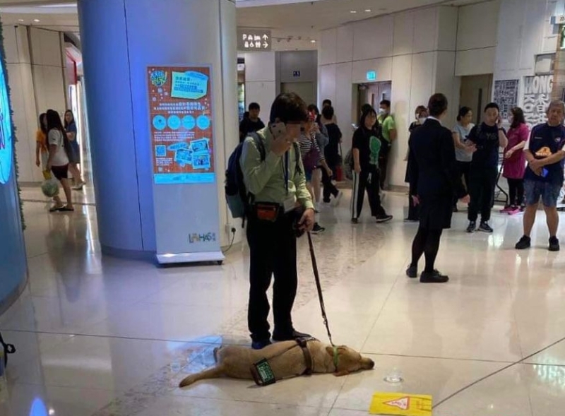 Funny在将军澳康城商场晕倒不治。香港动物报图片