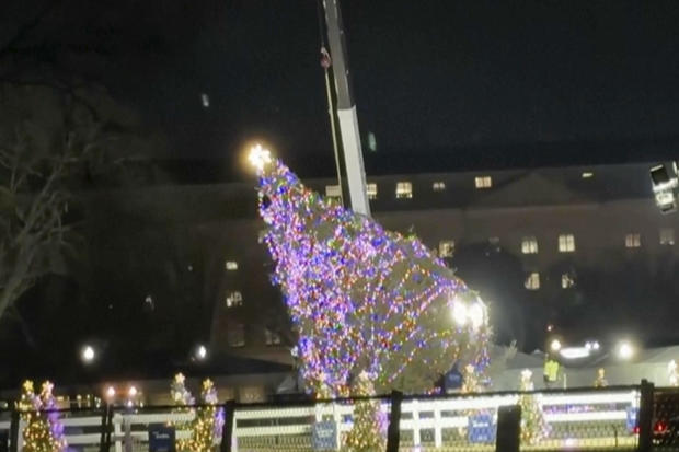 白宫前的起重机上悬挂着国家圣诞树，工作人员正在努力将在冬季大风中倒下的圣诞树重新吊起。图源 美媒