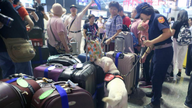 台警机场截港男起27公斤大麻,揭过境转机隐藏出发地运毒法 台警机场截港男起27公斤大麻,揭过境转机隐藏出发地运毒法