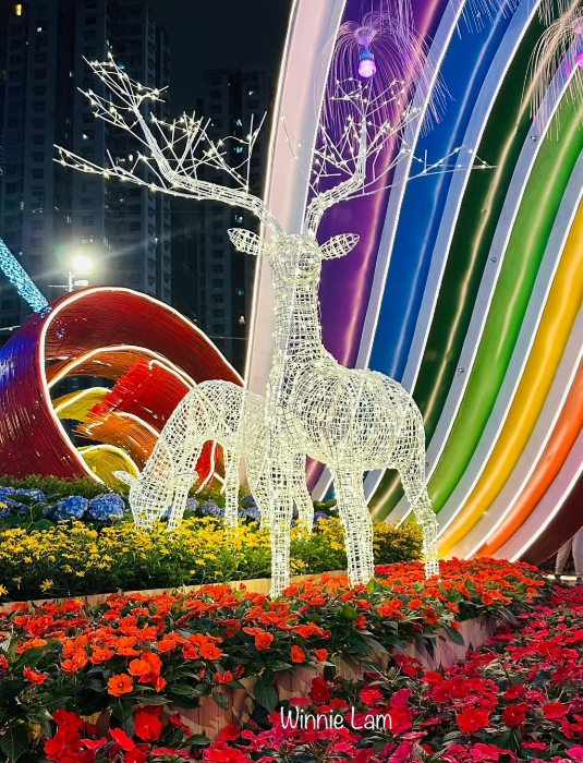 晚上到访香港花展2024，跟白天的花展感觉截然不同。