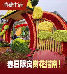 春日限定！香港花展2024开锣！42万朵花卉打造童话故事