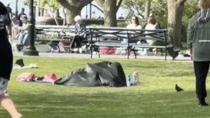 美国纽约公园惊见男女活春宫，疑似毯子下激战片疯传