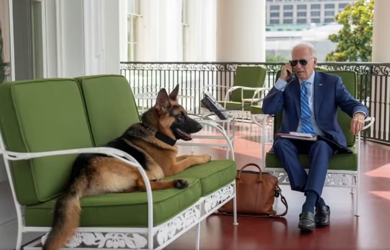 美国总统拜登和他的爱犬“指挥官”