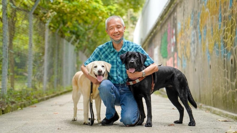 Deanna（左）退役后由曾建平领养，现时由另一导盲犬Vinny（右）引路。 受访者提供