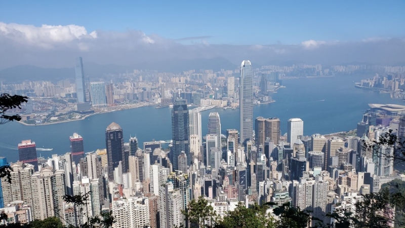 卢吉道俯瞰维港景色。