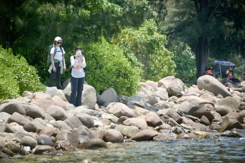 不少人到桥咀岛郊游。
