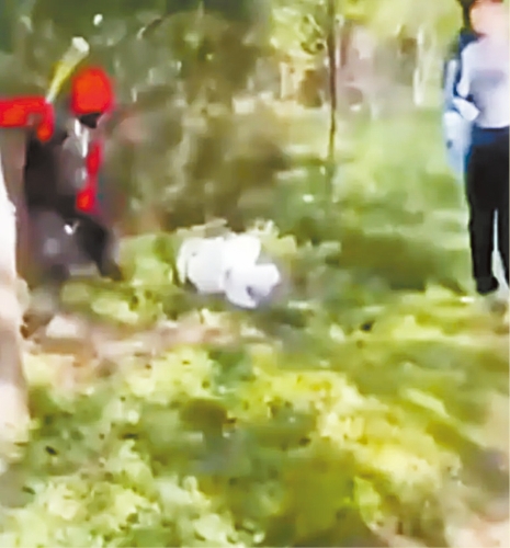 网上影片可见，少女在公园内被殴打。 网上图片