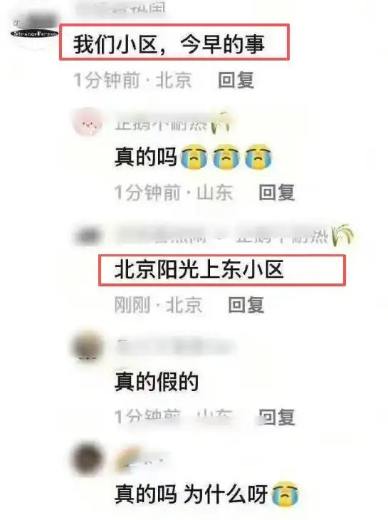 于朦胧1 于朦胧1