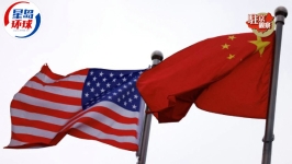 中美禁毒部门合作，在深圳盐田港国际货柜中查获可卡因430公斤