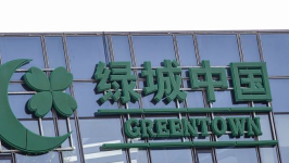 净利润暴跌96%，绿城还在为“张亚东时代”买单