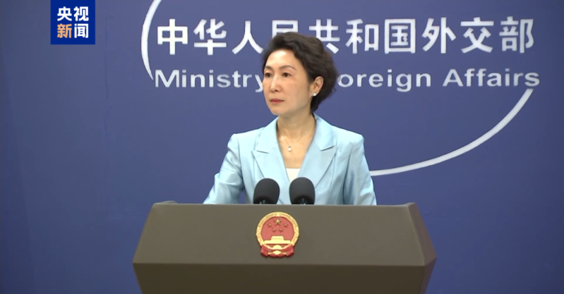 毛宁 毛宁