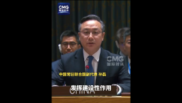 俄方要求表决，中方支持俄立场并在表决中投了反对票