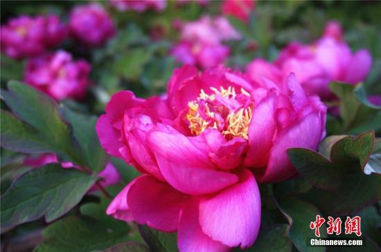 点击进入下一页