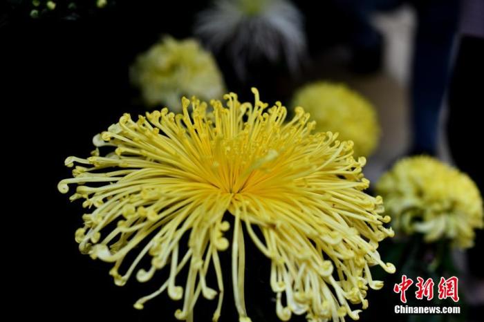 点击进入下一页