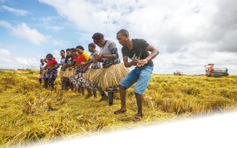 s1000065396_fmt s1000065396_fmt