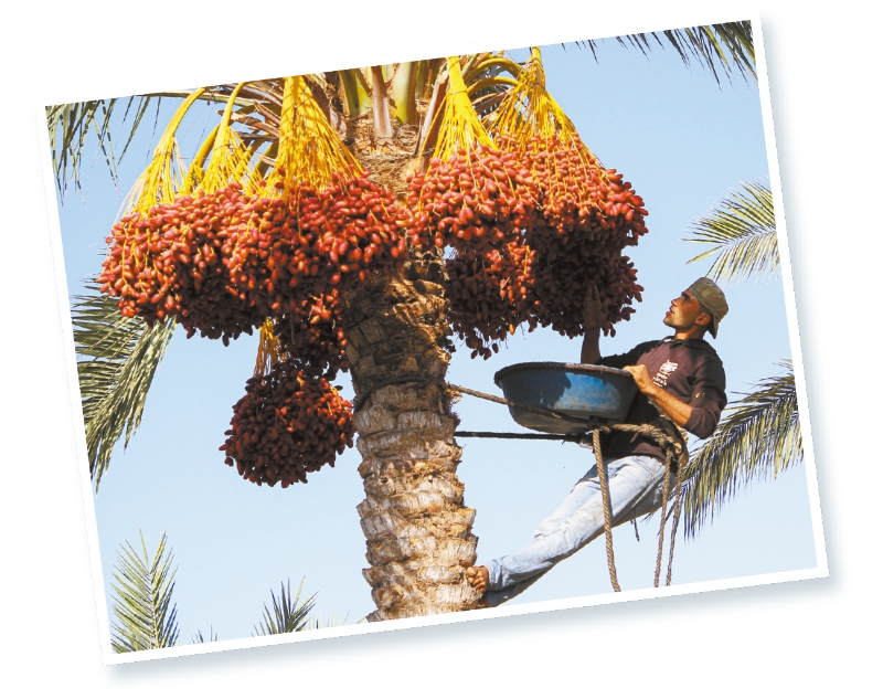 s1000065397_fmt s1000065397_fmt