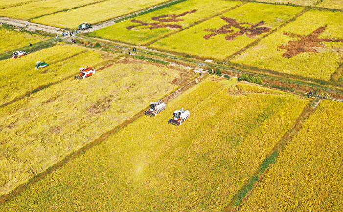 s1000065407_opt s1000065407_opt