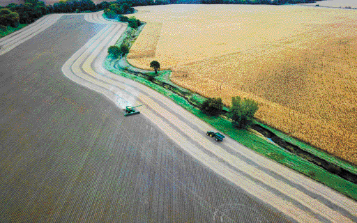 s1000065408_opt s1000065408_opt