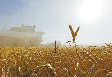 s1000065404_opt s1000065404_opt