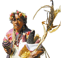 s1000065405_N27_1389_opt s1000065405_N27_1389_opt