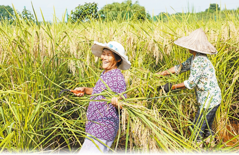 s1000065429_fmt s1000065429_fmt