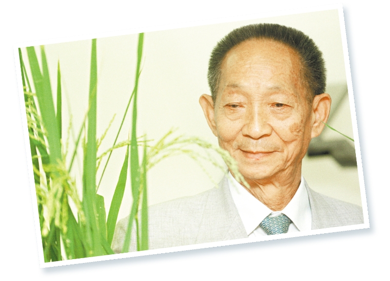 s1000065427_fmt s1000065427_fmt