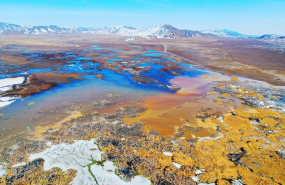 新疆阿勒泰可可托海国家湿地公园春日景如画