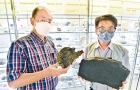 香港 | 港大发现最大痕迹化石，料2.6亿年前古生物留痕