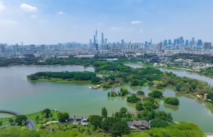 广州海珠湿地：打造最美城央湿地，助力城市品质提升