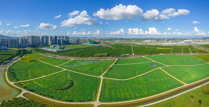 微信图片_20220613110247 微信图片_20220613110247