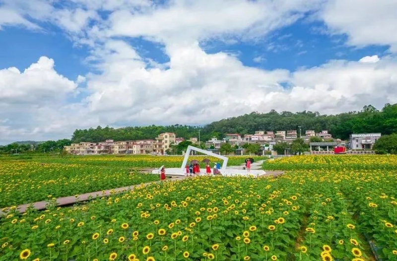 微信图片_20220613110354 微信图片_20220613110354