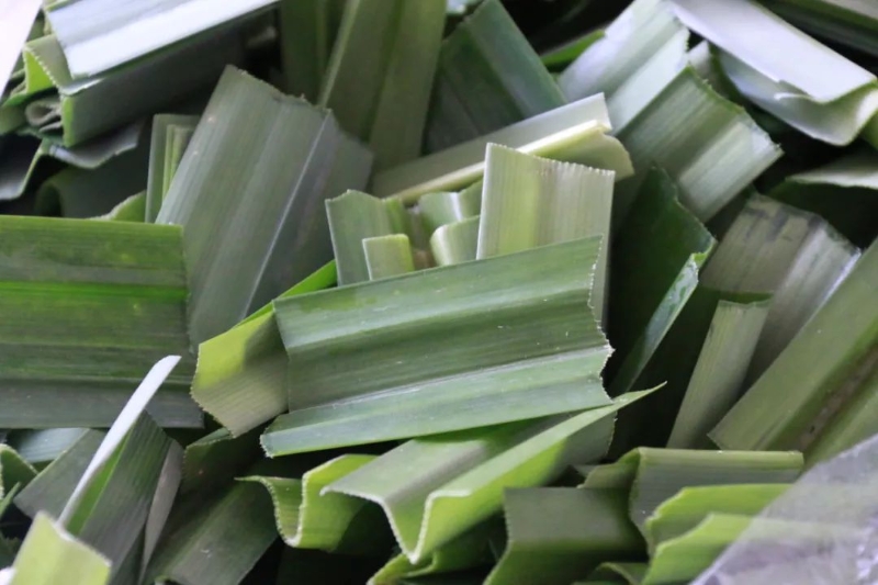 微信图片_20220623144953 微信图片_20220623144953