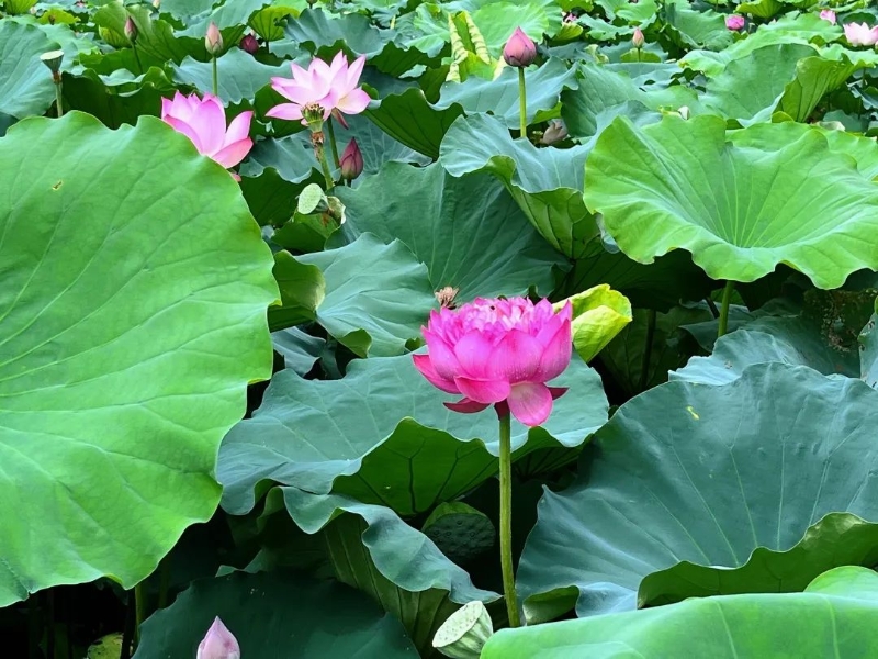 微信图片_20220628101447 微信图片_20220628101447