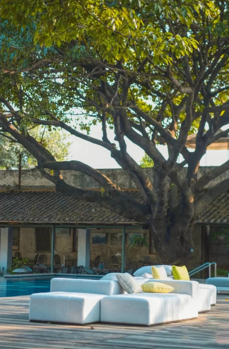 微信图片_20220629094950 微信图片_20220629094950