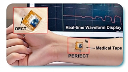 港大研发微型可穿戴生物传感器