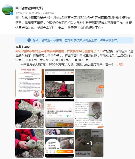 四川省林业和草原局官方微博截图