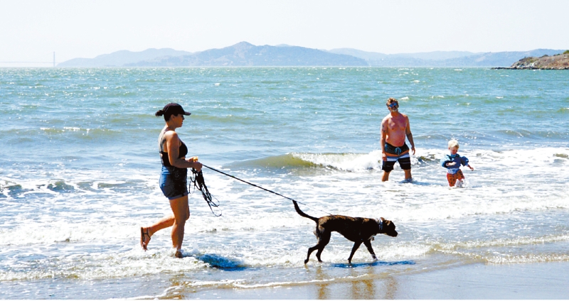 SF090622F1-2a_428a_fmt SF090622F1-2a_428a_fmt